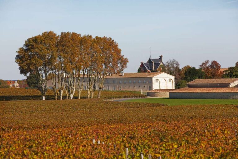 Mouton Rothschild
