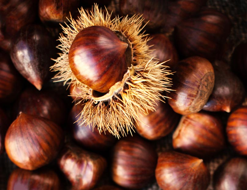 Marrons