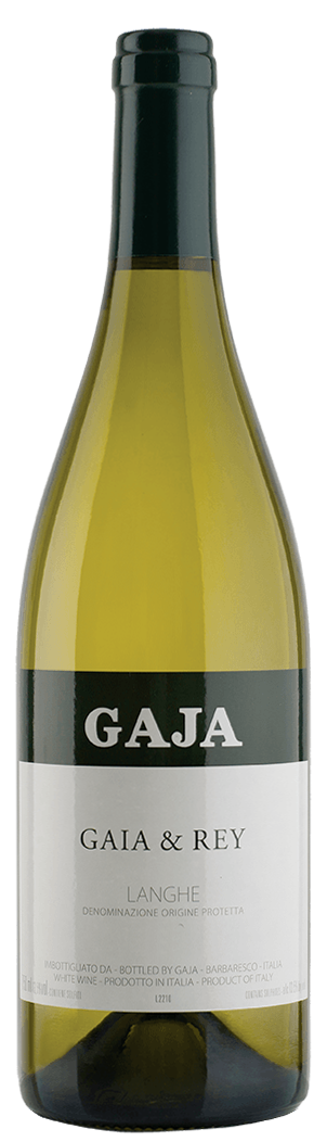 gaja gaia rey 2023